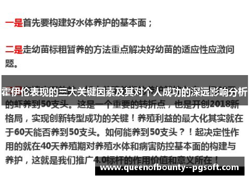 霍伊伦表现的三大关键因素及其对个人成功的深远影响分析